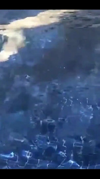 Nake nuota e scopa in piscina