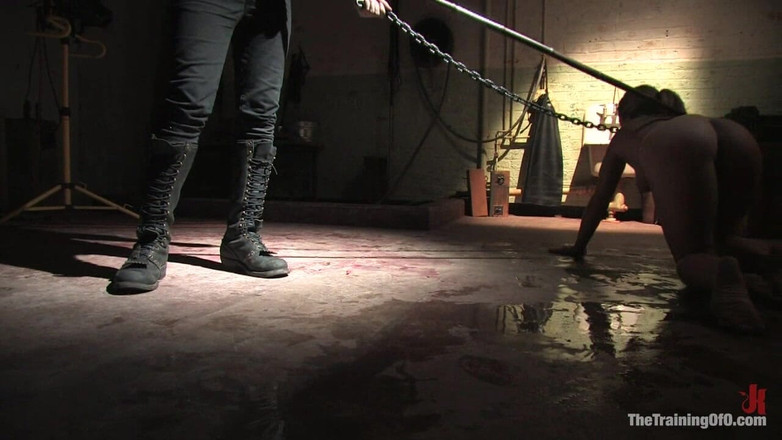 The Training of O by Kink: The Training of Dia Zerva, Day Four