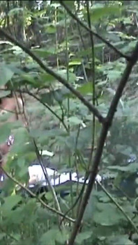 Grandi tette e cazzo gigante bruna trans brasiliana scopata calda all'aperto