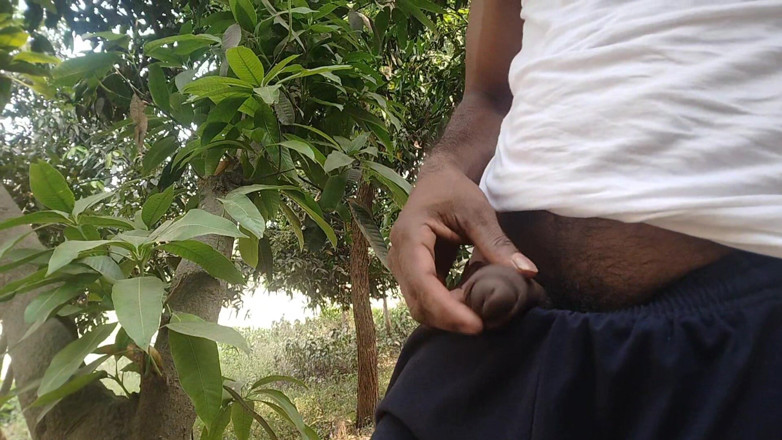 DesiDarkArt: Wald, öffentlicher indischer junge und handjob