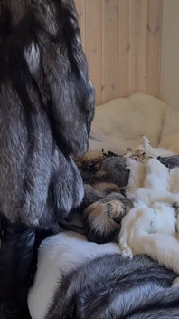 Hraní a škádlení se spoustou kožešiny! Masturbace v kožichu