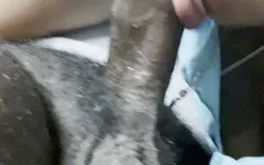 धूप इसे चूसने के लिए नहीं मिल सकती
