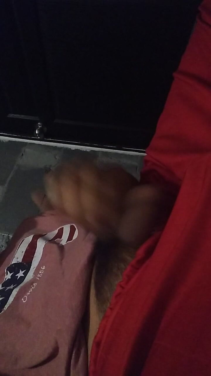 AlexAlejandro13: Penis wackelt im badezimmer