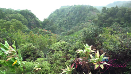 ATK Fans (Girlfriends): Liburan virtual bareng anya olsen bagian 5