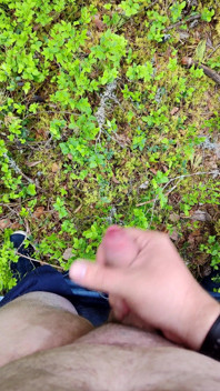 Horny in Forest