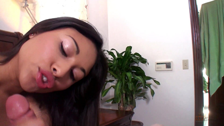 ATK Fans (Exotics): Blowjob