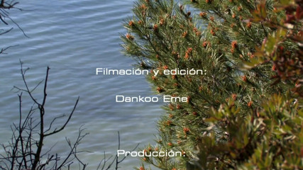 Dankoo Films: 科斯塔多拉达的家伙选角。完整电影高清。