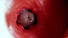 SEXY_GUYBEST: Zakar besar cantik mengalir dengan banyak di dalam lubang langsing...