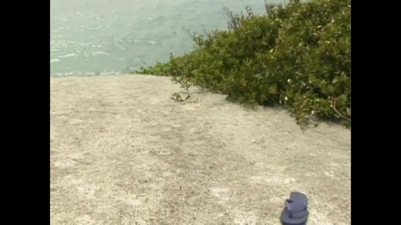 FM Video films: Черно-белый тройничок для белой шлюшки (полный порно фильм)