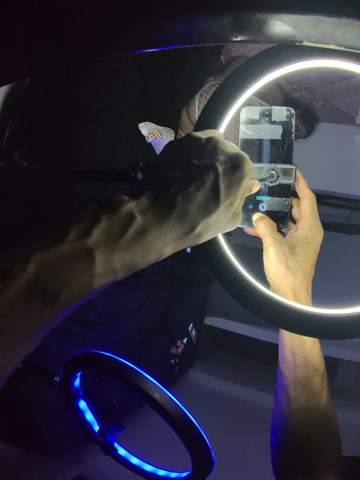 PABLO N3GROBAR: Sezóna čtyři - Lil Pony Živě