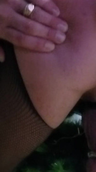 पेड़ और नीचे सजाना