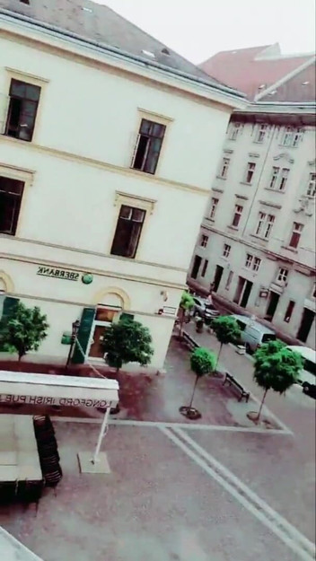 Slutboyben: Slutboyben Cam4 섹시한 님포 노출증