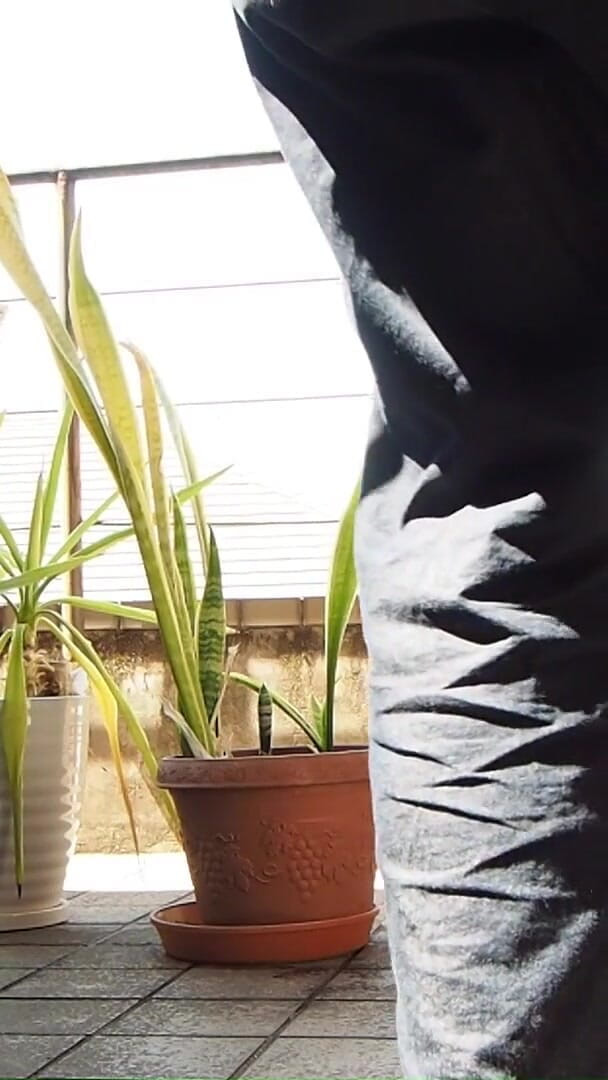 Peeing on a Potted Plant (Mayumi Kanzaki)