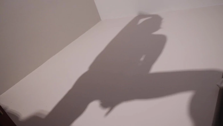 Countess diamond: Worship My Shadow - My Pleasure, Your Denial
