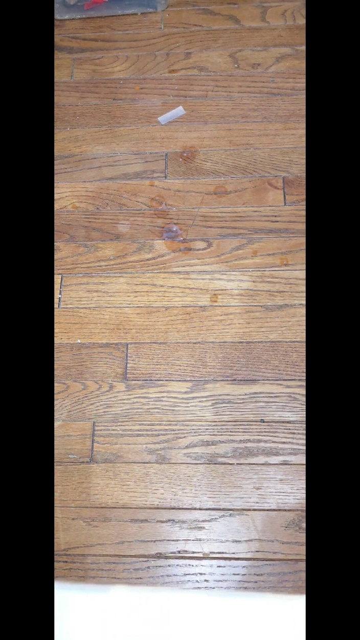 Ginger Wolf: Solo Cum Compilation