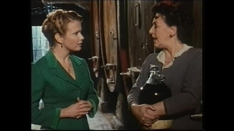 Vintage megastore: Secret Vintage Affairs