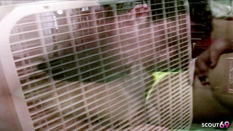 Shemale TS Collection: Fiesta de gangbang con traviesas latinas y grandes pollas