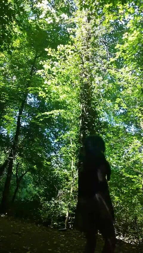 Babe2race: Masturbare în pădure în pauza de prânz