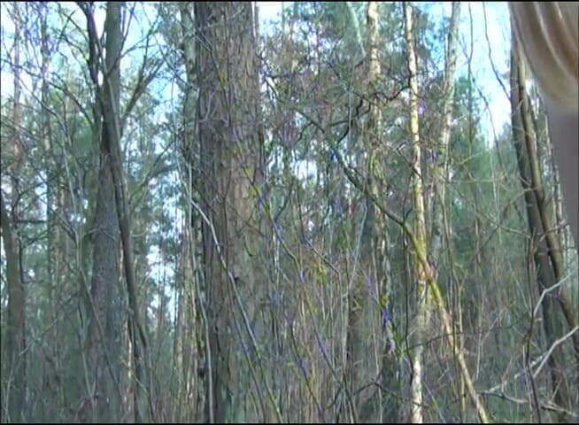 Flash Model Amateurs: Минет в лесу с юной блондинкой