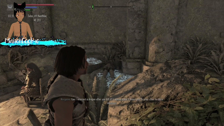 Manor Cookie: Skyrim B y L - divirtiéndose cerca de una chimenea y...