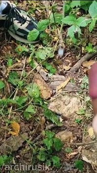 Uwiodłem Wojskowego, Aby Ssał Mojego Penisa, Ukryliśmy Się W Lesie I Karmiliśmy Się Spermą.