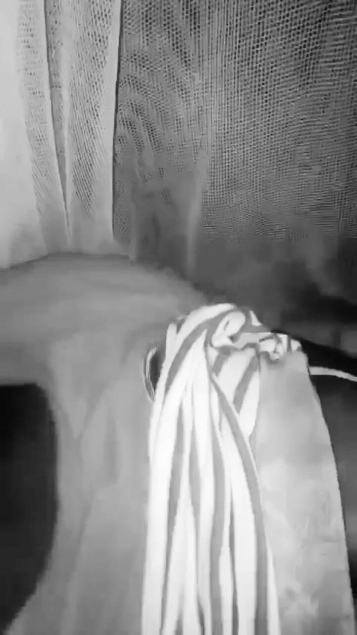 Oladi plenty tv: Včera ke mně přišla na návštěvu