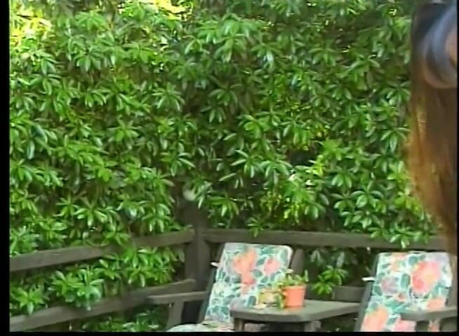 Lesbo Tube: Troia asiatica e la sua amica si sditalinano vicino a...