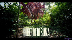 Parasited: Tempo relaxante