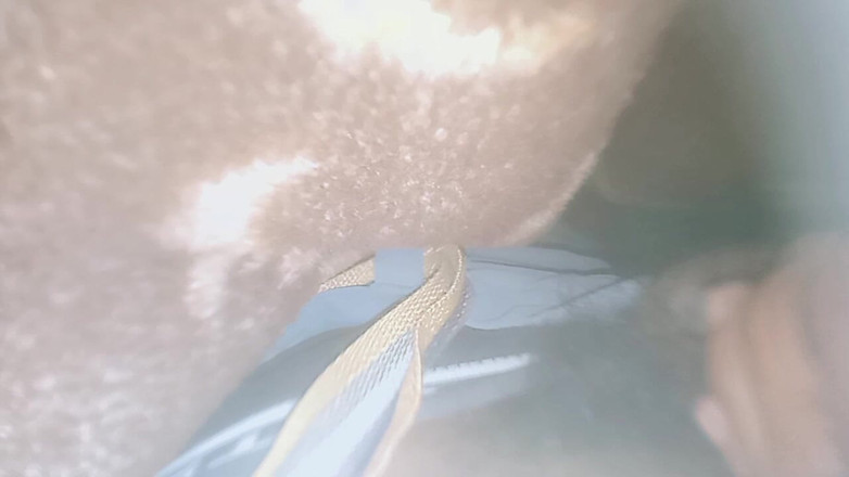 PARAMANANDA: Cô vợ đáng yêu của tôi