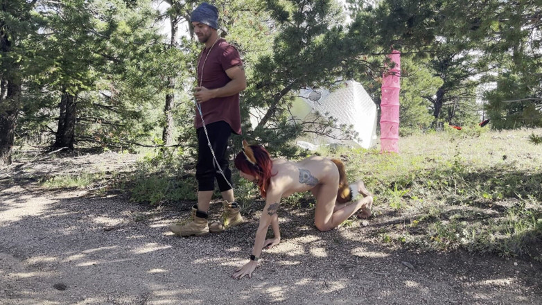 MYA Pleasure: Una volpe nei boschi