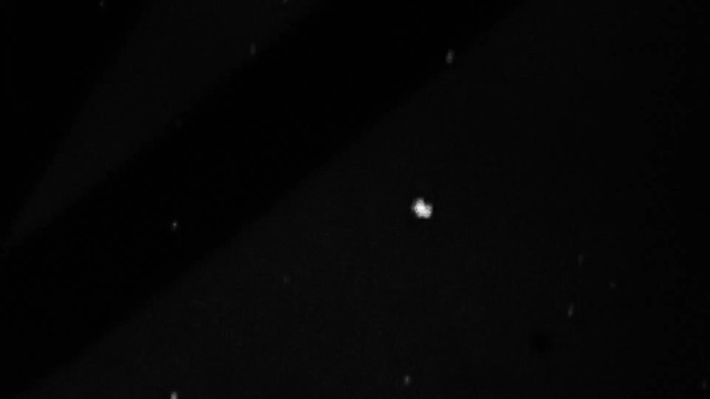 Grooby Girls: Trans Ashley si accarezza il cazzo!