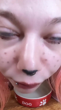 Cute Pet Girl Drink From Her Bowl