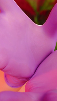 Purple Nitrile Gloves Asmr Video (arya Grander)