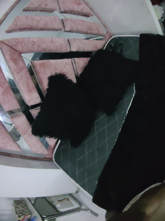 PABLO N3GROBAR: Quarta stagione - lil pov 3