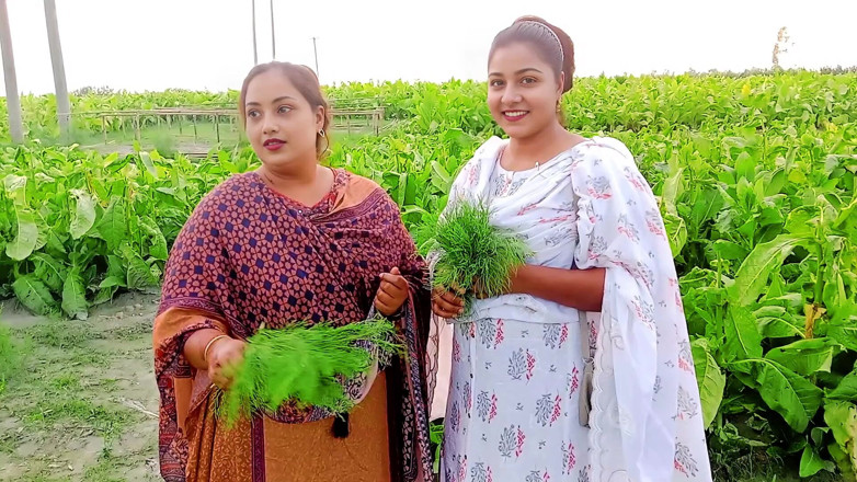 Hoktoml99: Rakib69 _ Bangla Desi Outdoor Village 3 Some Mms Hot