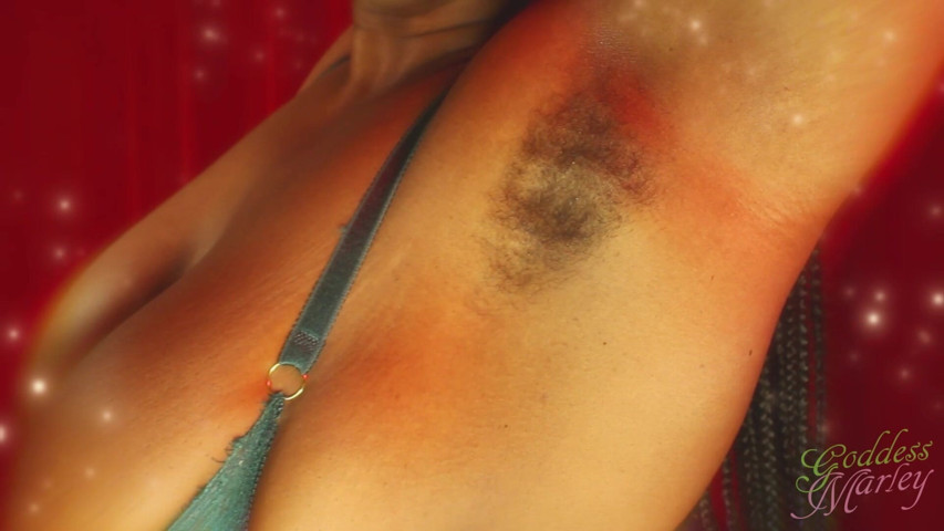 Hairy Holiday Armpits (Goddess Marley)