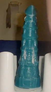 Riding Sea Dildo xxl - feb. 15, 2024