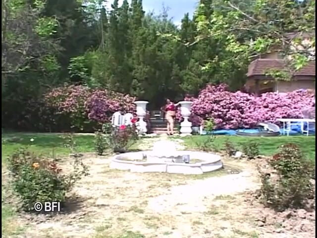 Amazing asses and pussies: Lots of Gangbang
