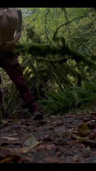 Striptease for Them Trees