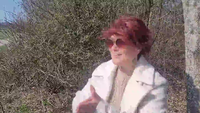 Popp Sylvie: Baharda Meyve Suyu