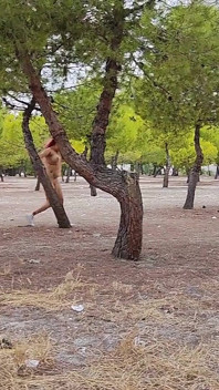 Utomhus riskabelt löparsport naken risk i parken