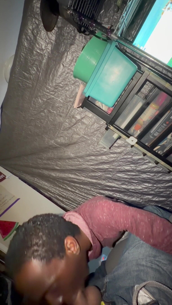 NB Topper: Black Adventures 02