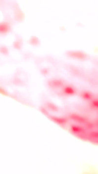 Amantes de lingerie - Red Rover. Red Rover. Nós viemos por toda parte