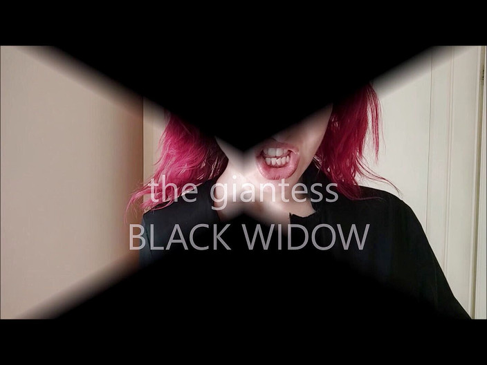 savannahamatoriale: Veuve noire géante