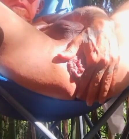Cocklover247: Working my huge gaping asshole