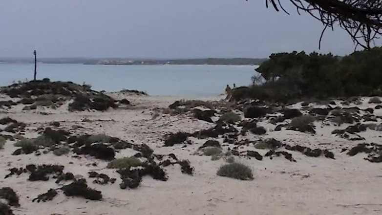 Sextermedia by Pete: Couple Spied on While Fucking on the Beach