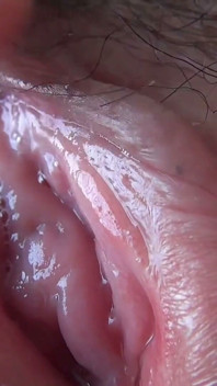 Close-up of a Plump Pussy