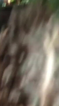 Succhiare il cazzo del mio migliore amico, un cornuto traditore