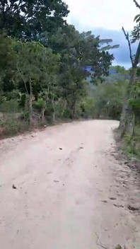 Kami menikmati pemandangan sebelum kami bercinta