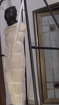 Emerging From the Cocoon